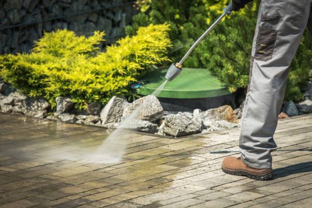 Best House Exterior Washing  in Forest Heights, MD