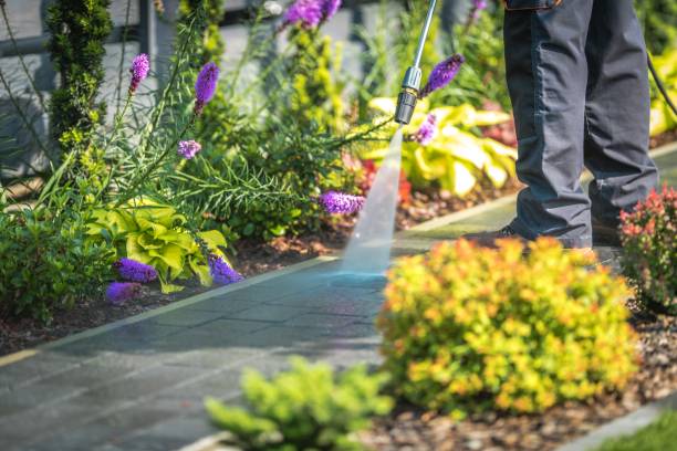 Best Gutter Cleaning  in Forest Heights, MD